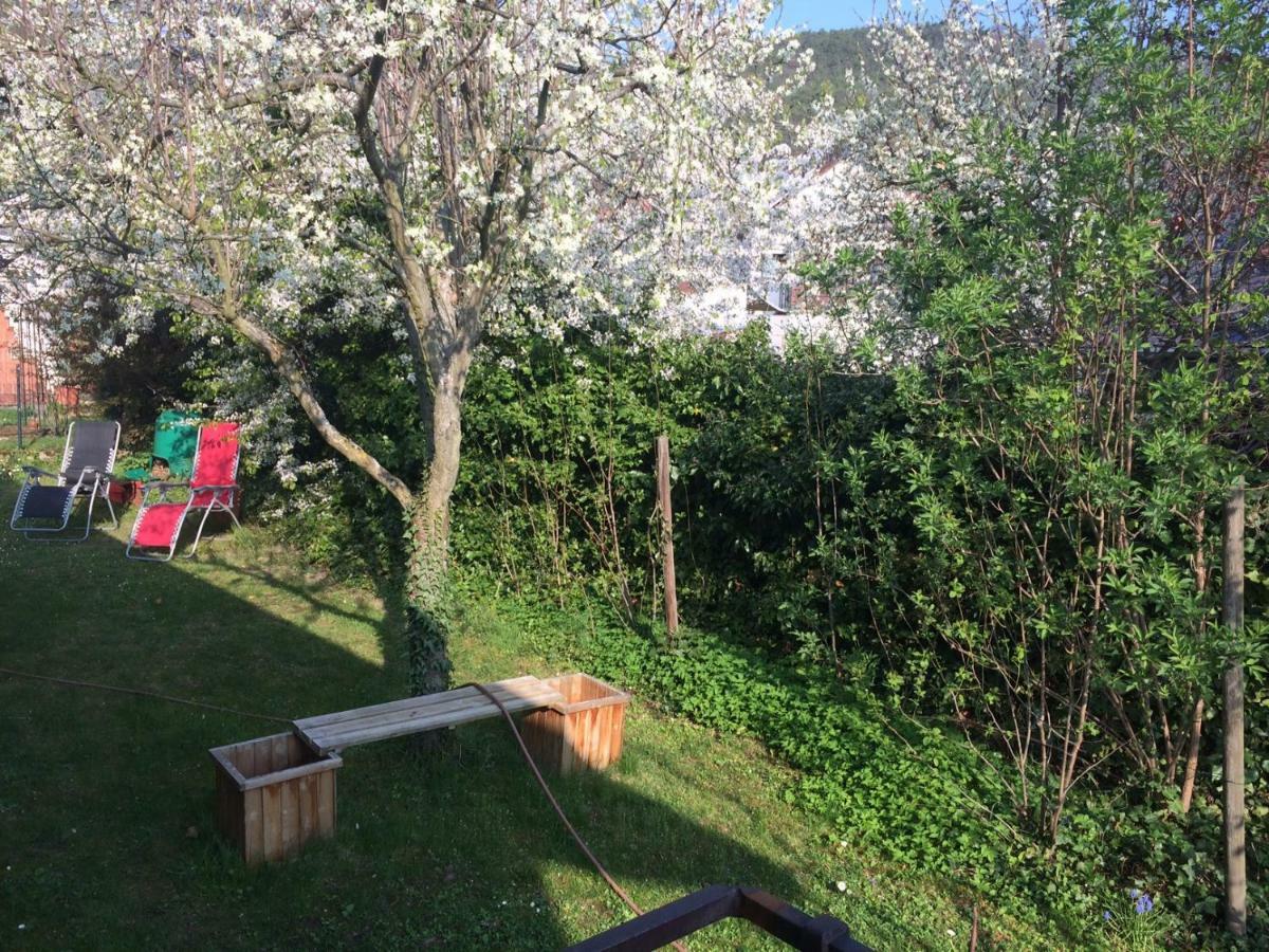 Schones Zimmer In Gimmeldingen/ Konigsbach Neustadt an der Weinstraße Екстериор снимка